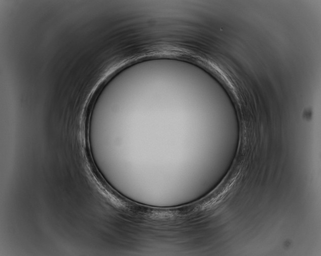 X0000100930843200806241136