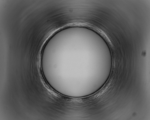 X0000100930844200806241136