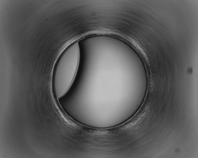 X0000100930845200806241136