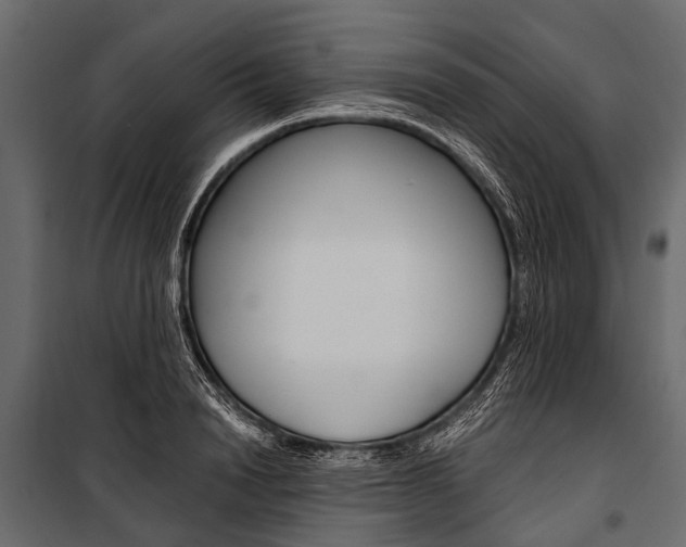 X0000100930846200806241136