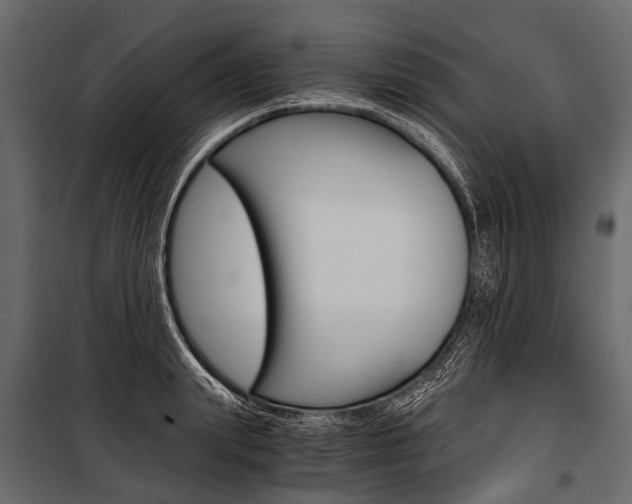 X0000100930847200806241136