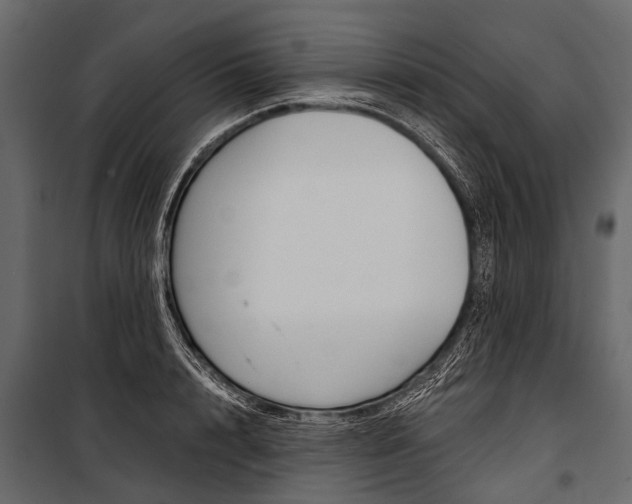 X0000100930848200806241136