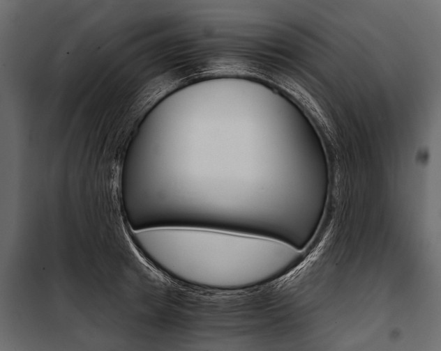 X0000100930849200806241136