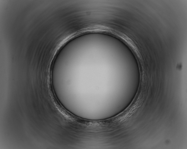 X0000100930850200806241136