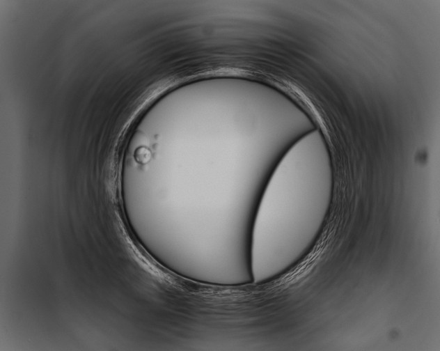 X0000100930851200806241136