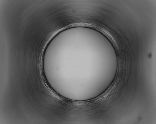 X0000100930852200806241136