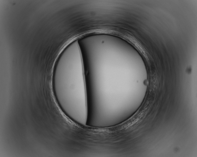 X0000100930853200806241136