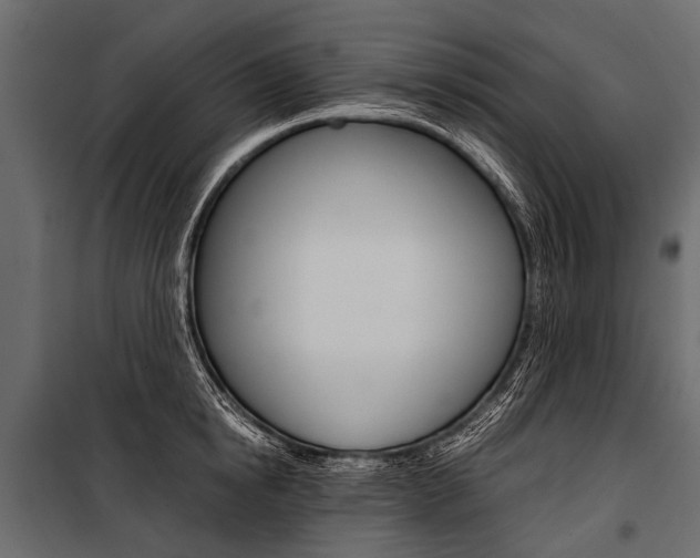 X0000100930854200806241136