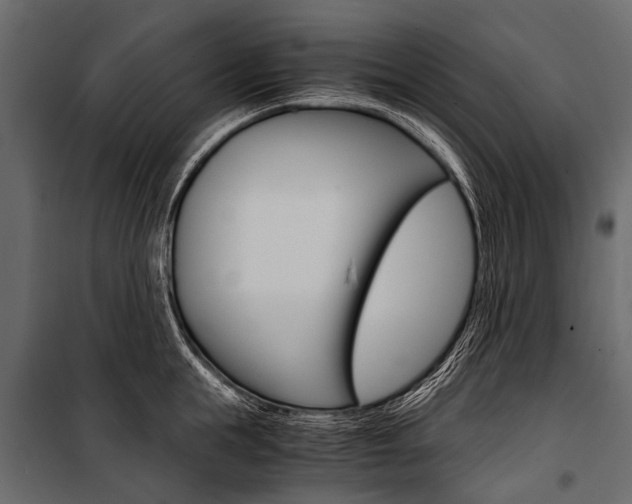 X0000100930855200806241136