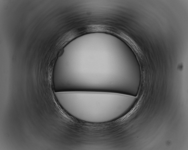 X0000100930857200806241136