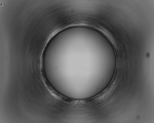 X0000100930858200806241136