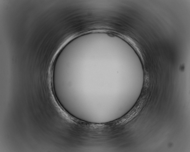 X0000100930859200806241136