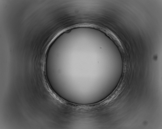 X0000100930860200806241136