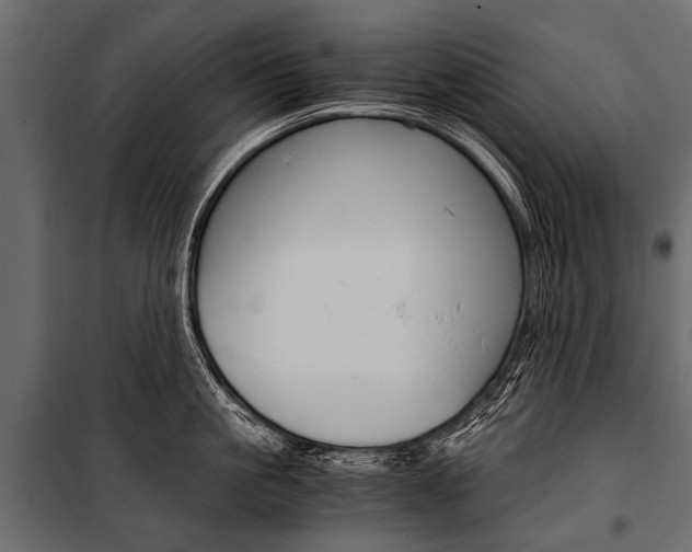 X0000100930861200806241136