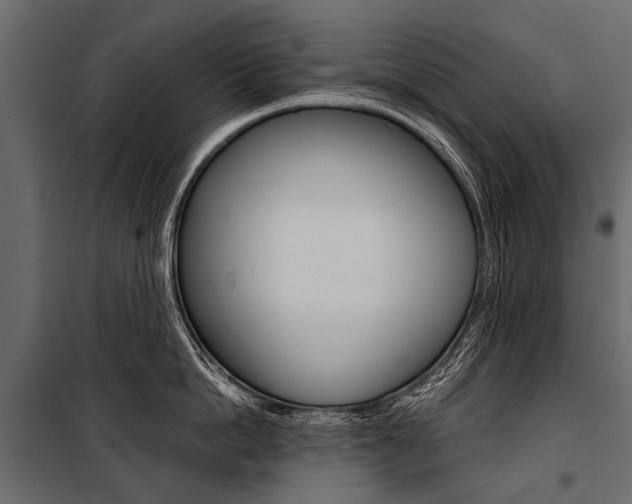 X0000100930862200806241136