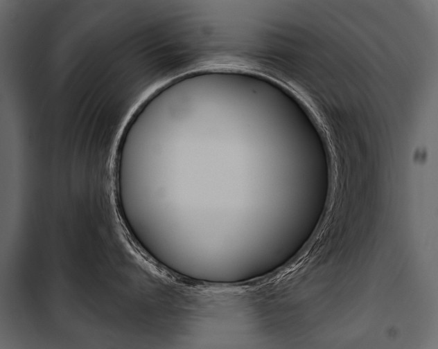 X0000100930864200806241136