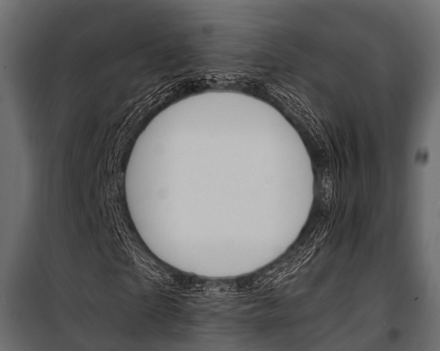 X0000100930865200806241135