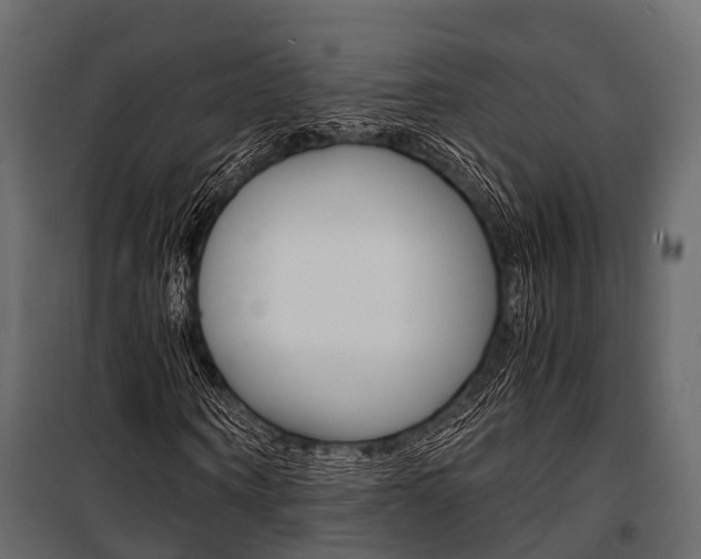 X0000100930866200806241135