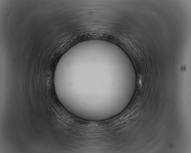 X0000100930867200806241135