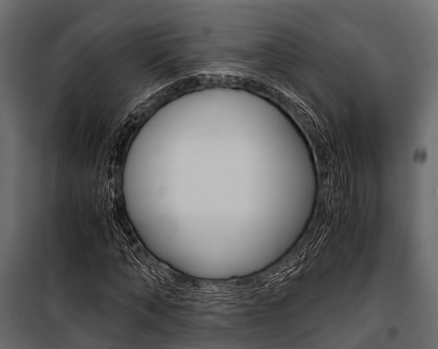 X0000100930870200806241135