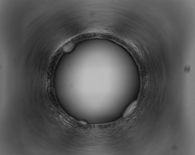 X0000100930872200806241135