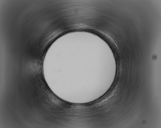 X0000100930873200806241135