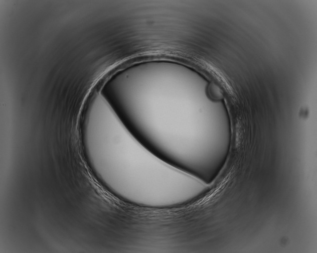 X0000100930876200806241135