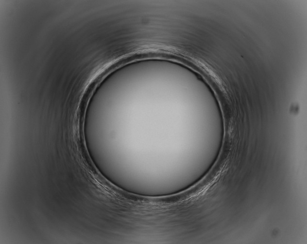 X0000100930877200806241135