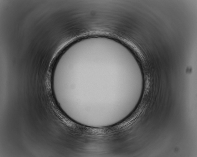 X0000100930878200806241135