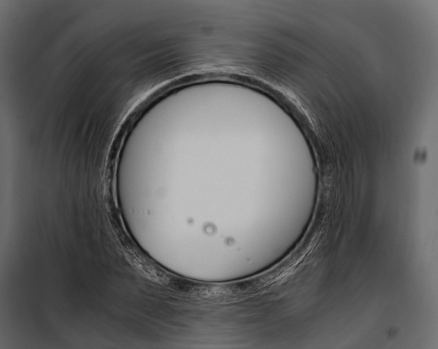 X0000100930879200806241135