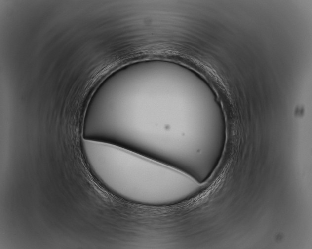 X0000100930881200806241135