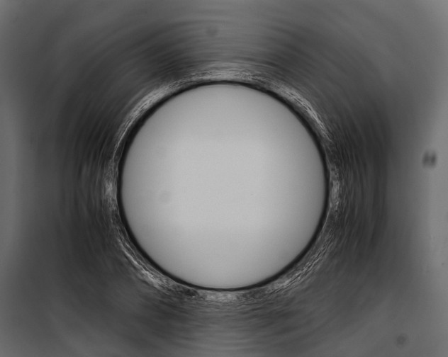 X0000100930882200806241135