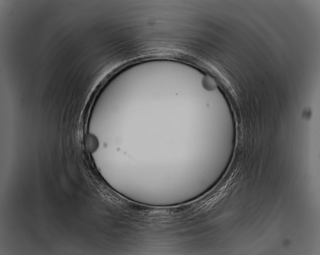 X0000100930883200806241135