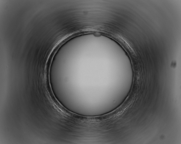 X0000100930884200806241135