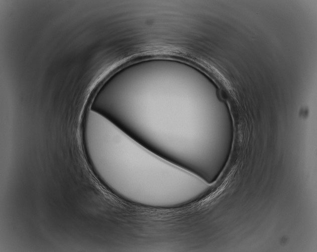 X0000100930885200806241135