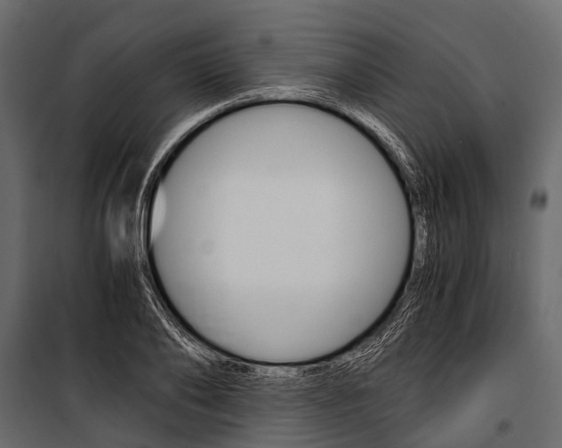 X0000100930886200806241135