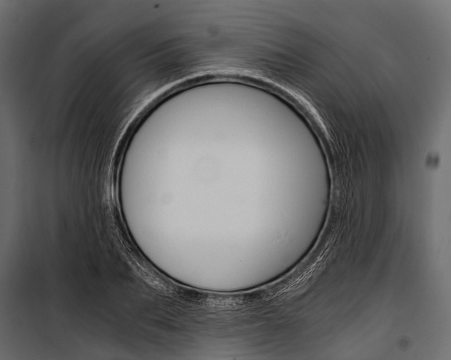 X0000100930887200806241135