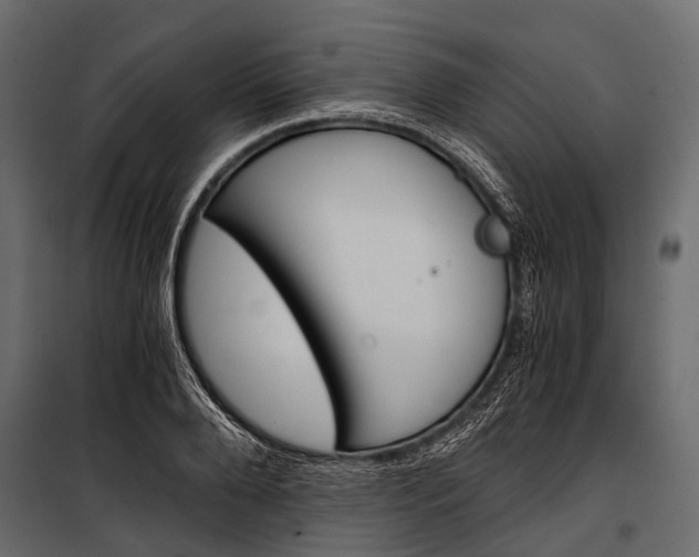 X0000100930888200806241135