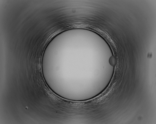 X0000100930889200806241135