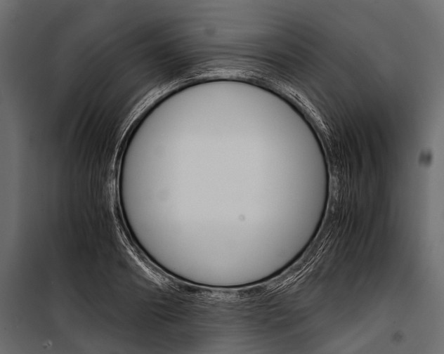 X0000100930890200806241135