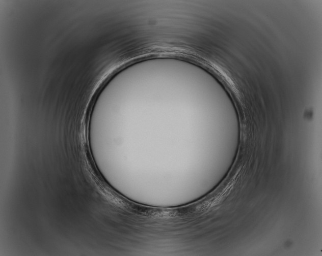 X0000100930891200806241135