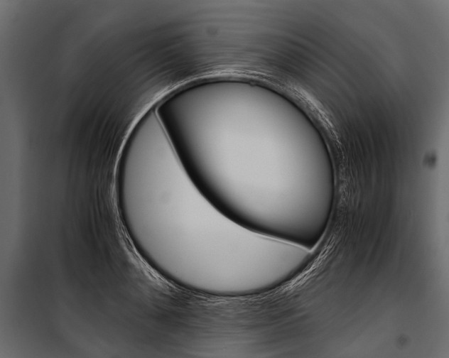 X0000100930892200806241135