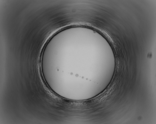 X0000100930895200806241135