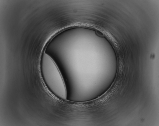 X0000100930896200806241135