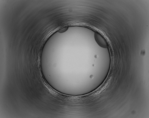 X0000100930897200806241135