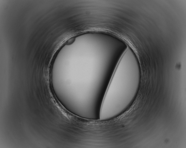 X0000100930898200806241135