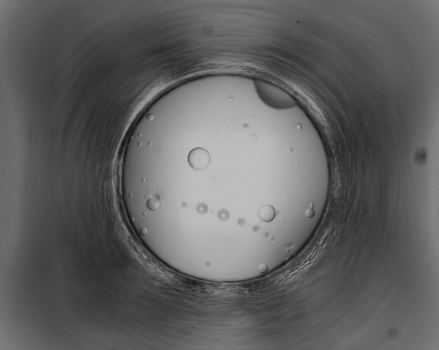 X0000100930899200806241135