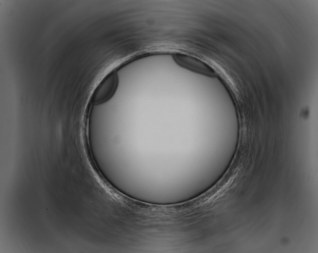 X0000100930901200806241135