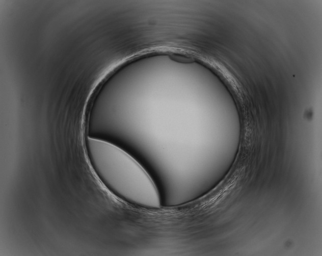 X0000100930902200806241135