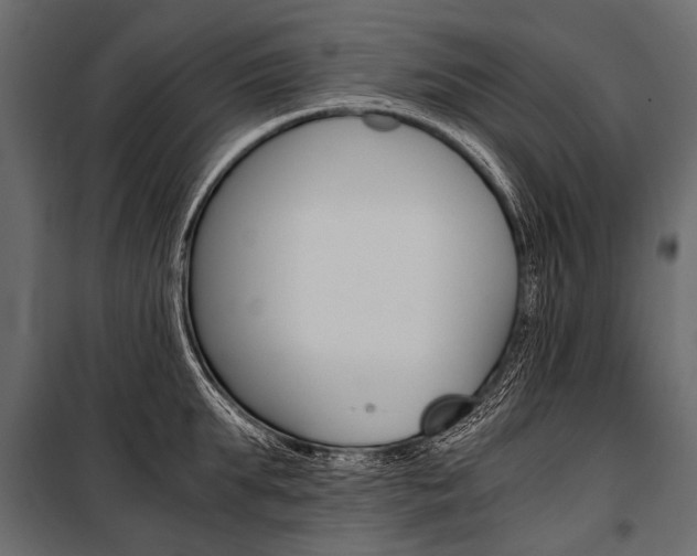 X0000100930903200806241135